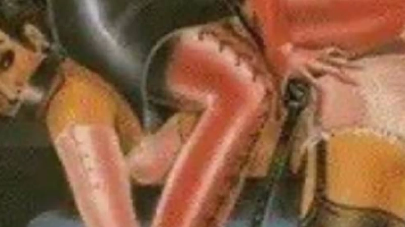 Looking for the one who will....