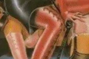 Looking for the one who will....